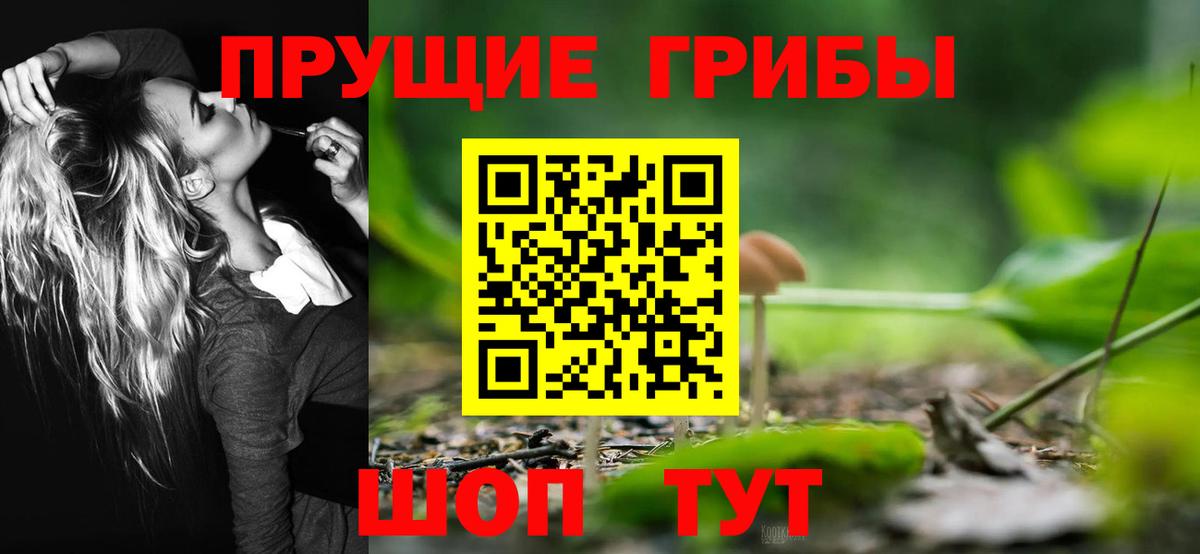 Псилоцибиновые грибы прущие грибы Ульяновск